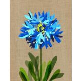 Blue Pincushion 