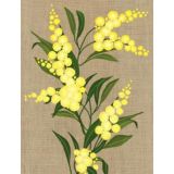 Wattle 