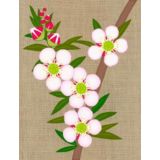 Tea Tree 