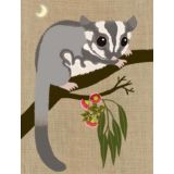 Suger Glider 