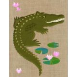 Crocodile 