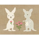 Kangaroo Family