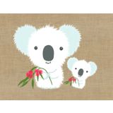 Koalas