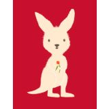 Red Kangaroo