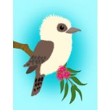 ky Blue Kooka