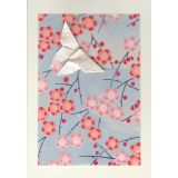 Butterfly - Blossom on Blue