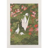 Crane - Cranes on Green