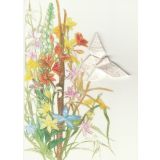 Wild Flowers