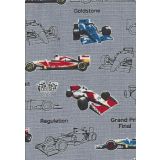 World Champion F1
