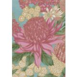 Pink Waratah
