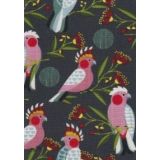 Galahs & Gum Blossom