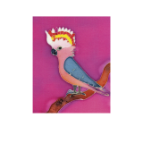 Galah on Pink