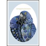 Budgie Love Congratulations