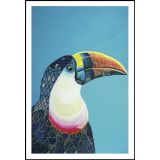 Toucan