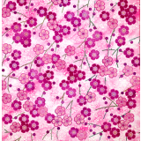 Pink Blossom