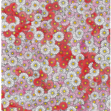 Red & Pink Daisies