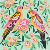 Australian Parrots