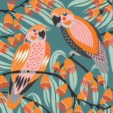Two Parrots