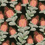 Coral Banksia