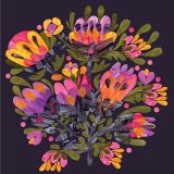Protea Collage