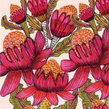 Waratahs