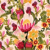 King Red Protea