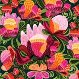 Roccoco Proteas