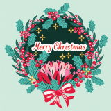 Christmas Waratah