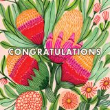 Protea Congratulations