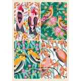 Removable Magnets Card - Australian Birds
