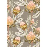 Bush Toned Banksias