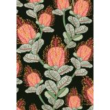Coral Banksias