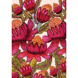 Waratahs