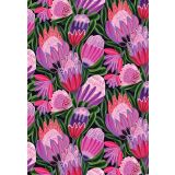 Purple Protea