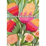Protea Congratulations