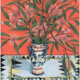 The Wild Wonder Of Hakea