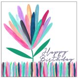 Mini Coloured Protea Birthday