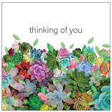 Mini Thinking Of You Succulent