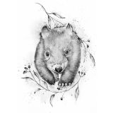 "Wally" The Wombat