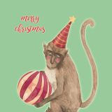 Circus Christmas - Monkey Love