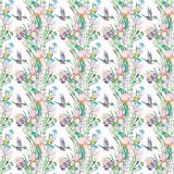 Springtime - Hummingbirds