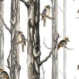 Kookaburras In The Bush