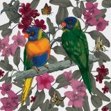 Rainbow Lorikeet