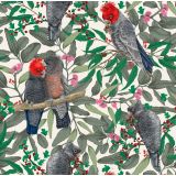 Gang Gang Cockatoos