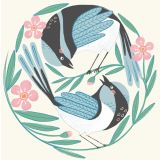 Blue Wren Pair