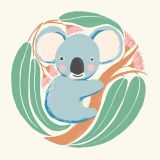Cute Koala