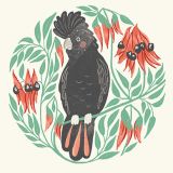 Black Cockatoo & Desert Pea