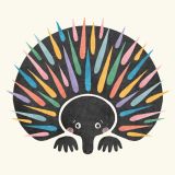 Rainbow Echidna