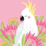 Sulphur Crested Cockatoo-Pink