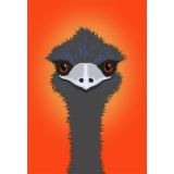 Bright Orange Emu